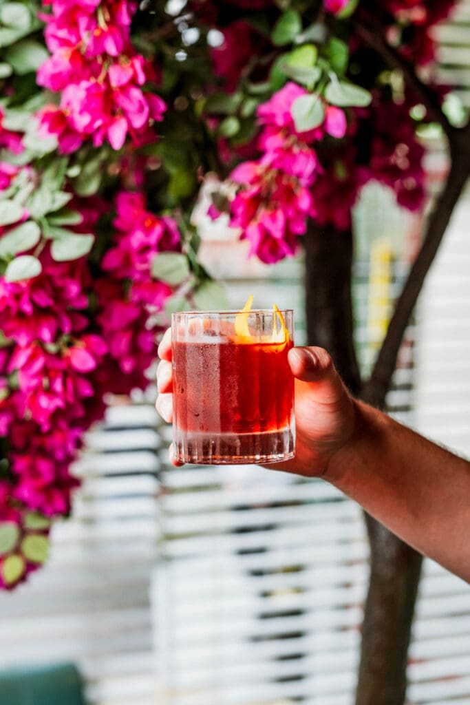 A hand is holding Negroni with pink flowers in the background